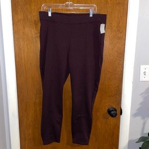 Large Pull on Skinny Ankle Pant